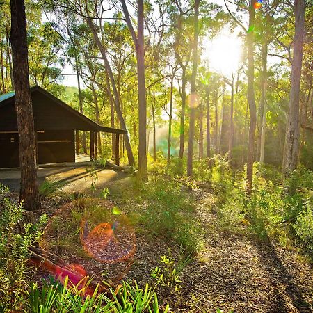 Kianinny Bush Cottages Tathra Eksteriør billede